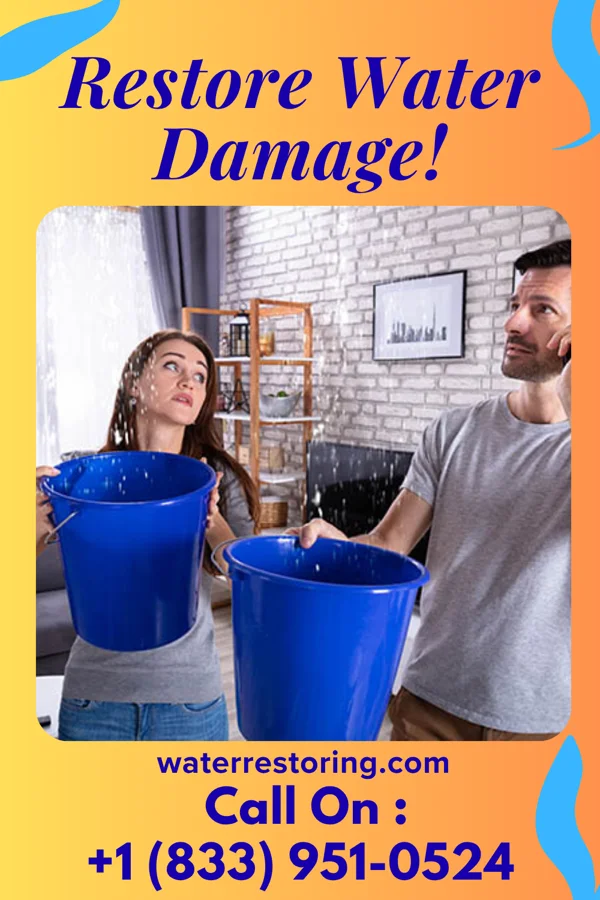 water restoration Platinum Flood Mitigation Solutions Pineville
