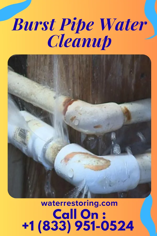 Burst Pipe Water Cleanup in Pineville, MO