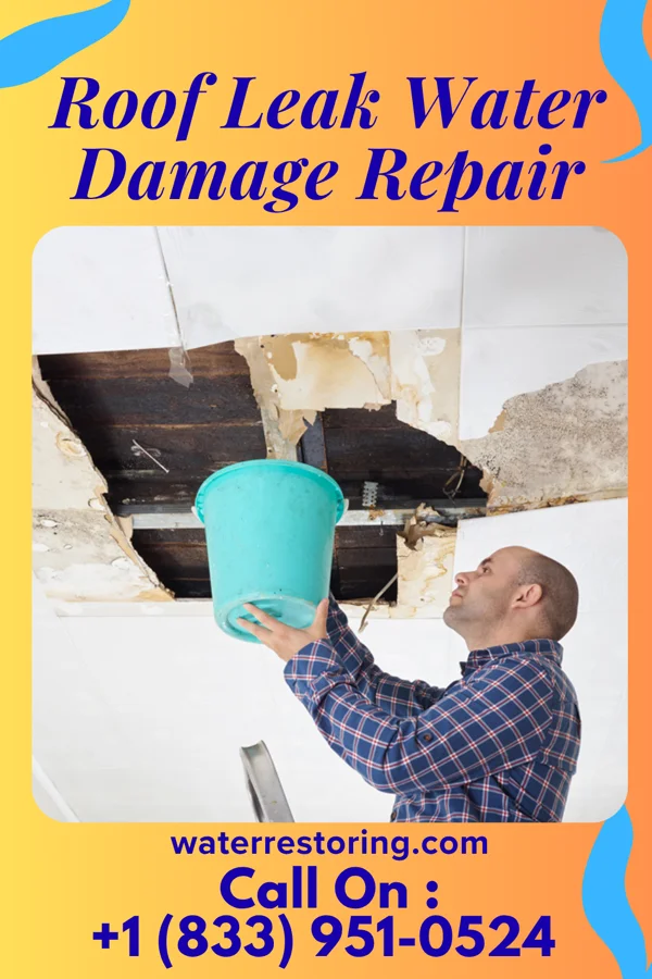 Roof Leak Water Damage Repair in Pineville, MO