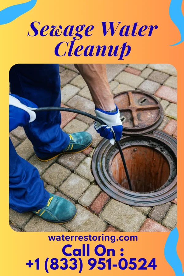 Sewage Water Cleanup in Pineville, MO