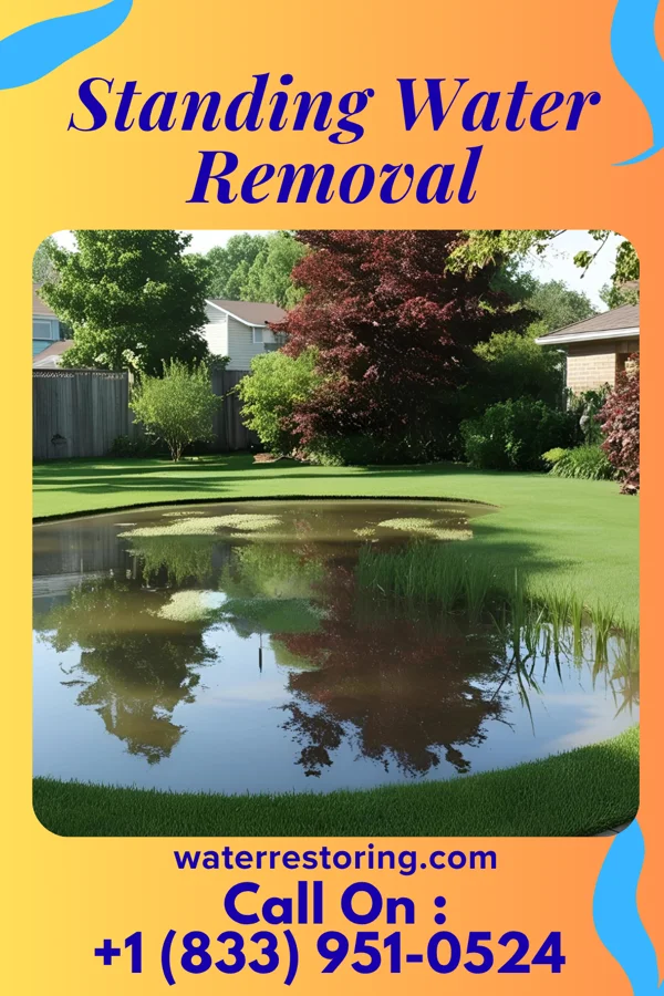 Standing Water Removal in Pineville, MO